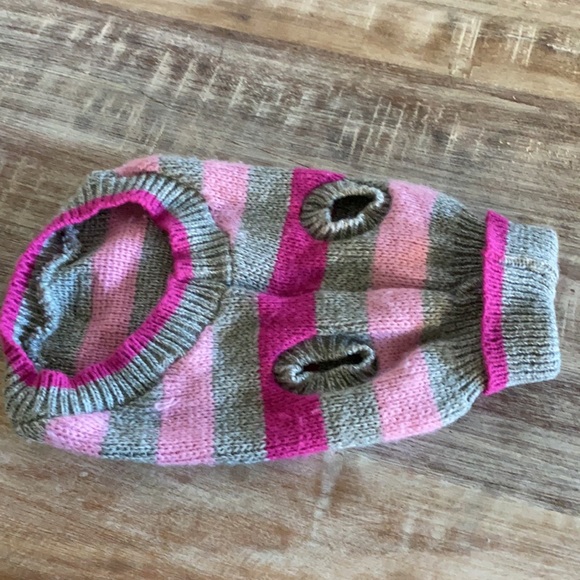 cloe cluzo dog jacket